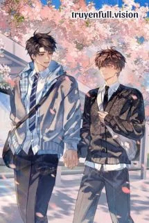 Không Làm Pháo Hôi Lụy Tình